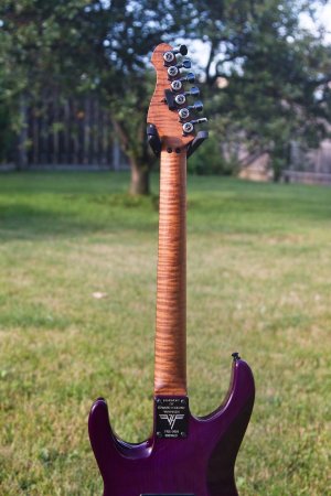 RoastedFlameMaple.jpg