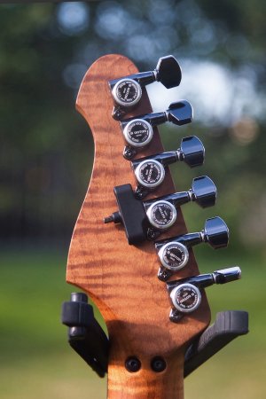 HeadstockGotoh.jpg
