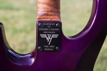 VHNeckPlate.jpg