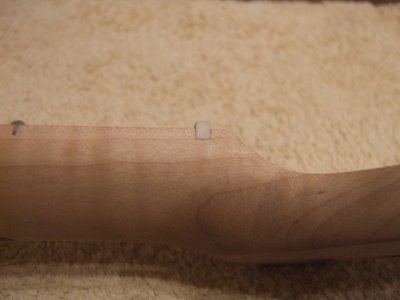 DSCF9524.JPG