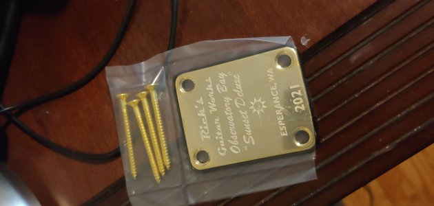 vip neck plate gold.jpg
