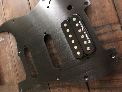Custom Custom Trembucker.JPG