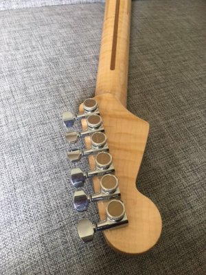 Warmoth 2.jpg