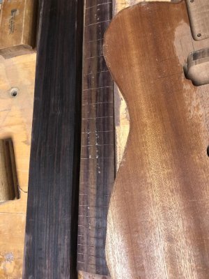 Fretboard, Neck, Body.jpg