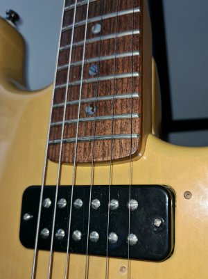 20220825_222850.jpg