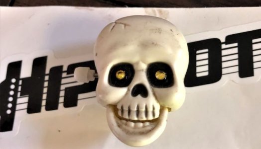 Mini Skull approved!.JPG