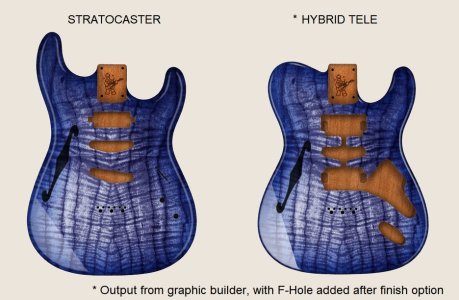 FMT hybrid tele washed blue dye.jpg