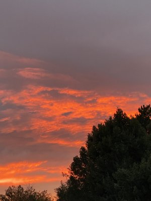 6A697ECE-E710-4833-B5D9-07F1FC5E607E.jpeg