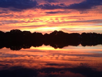 C29ACFE7-8ADC-4E6A-9639-F45B9CCC1C7F.jpeg