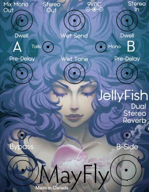 Jellyfish Reverb Artwork V1.0LoRes.jpg
