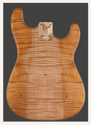 Warmoth Body 2.PNG