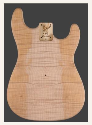 Warmoth Body 2.1.PNG