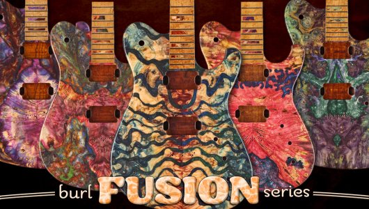 Burl-Fusion-Feature.jpg