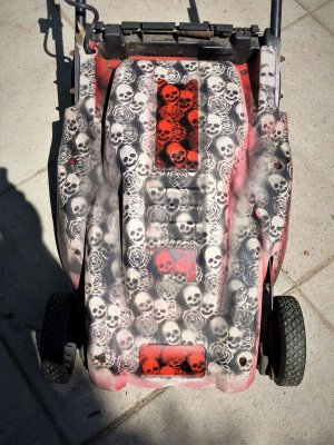 Skullmo.jpg