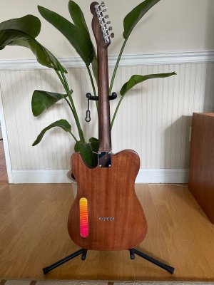 Berryburst Tele - back.JPG