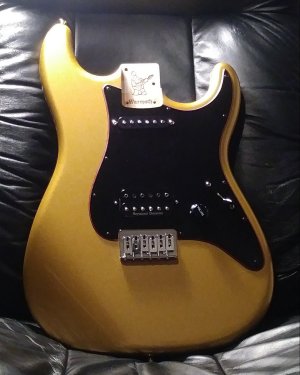 20230810_201118-1.jpg