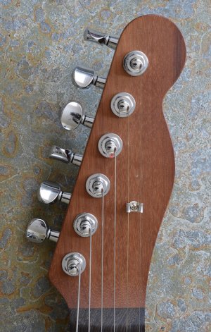 warmoth tele woods-headstock.jpg