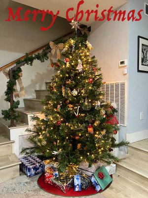 Christmas tree 2023 w text.jpg