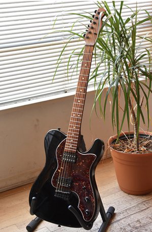 Warmoth 72 thinline in liv rm agnes.jpg