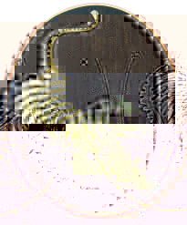 tigermed.jpg