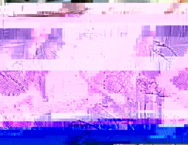 Norah_1.jpg