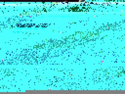 100_1233.JPG