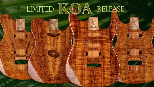 koa_newsletter.jpg