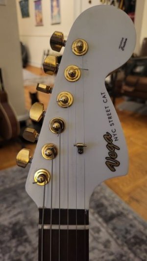 VegatoneHeadstock.jpg