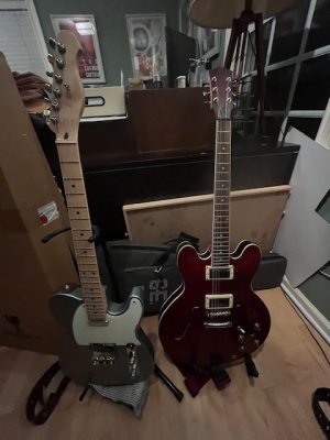 tele 335.jpg