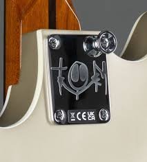 TDStarcasterNeckPlate.jpeg