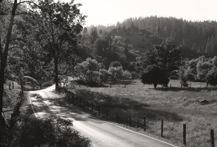 road near Volcano,CA b&w conv for ibb.jpg