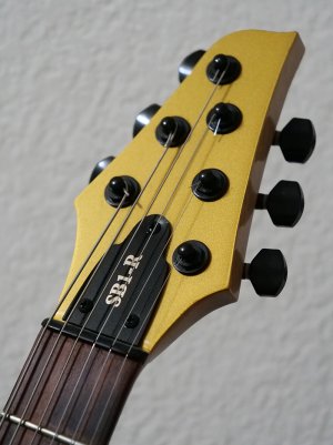 spicy mustard sb1-r hdstk for ibb-warmoth.jpg