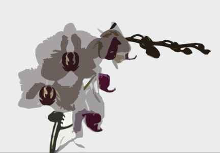 orchids cutout.jpg