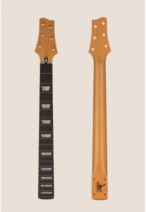 Warmoth Neck.jpeg