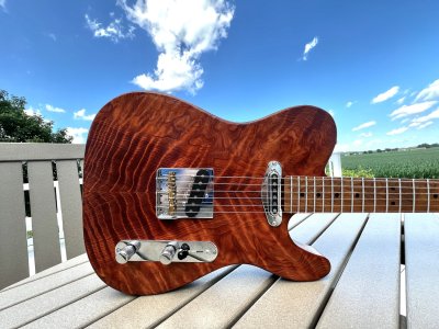 RedwoodTele01.jpg