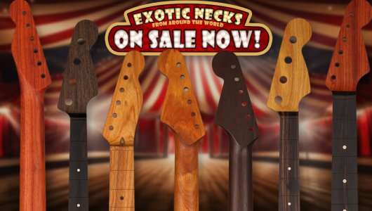 Exotic_Necks_newsletter.jpg