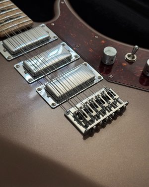 top vu bridge & pickups tgp etc.jpg