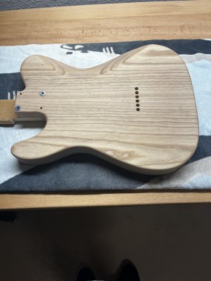 3 - Tele DIY back copy.jpg