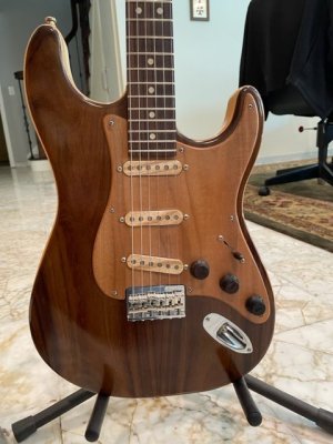 Wood Strat 2.jpg