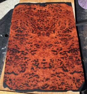Burl.jpg