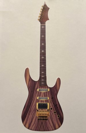 HSS Soloist-mock up.jpg