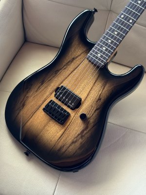 Warmoth78-b.jpg Warmoth78-b.jpg