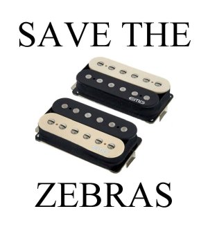 SAVE THE ZEBRAS-1.jpg