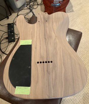 Walnut_back.jpeg Walnut_back.jpeg