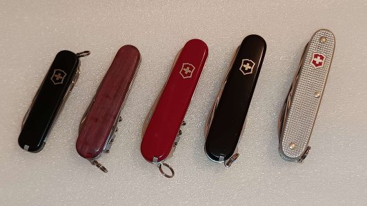 1000478449.jpg 1000478449.jpg