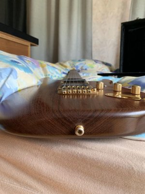 warmoth rosewood body.jpg