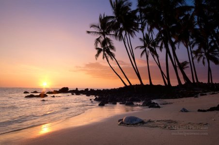 IMG_0209.jpeg IMG_0209.jpeg