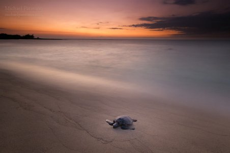 IMG_0205.jpeg IMG_0205.jpeg