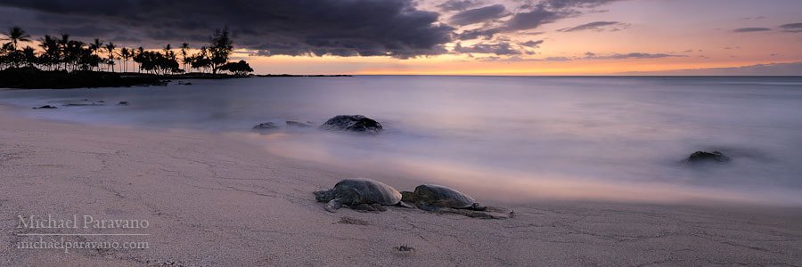 IMG_0208.jpeg IMG_0208.jpeg