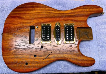 Body Pickups Installed.jpg